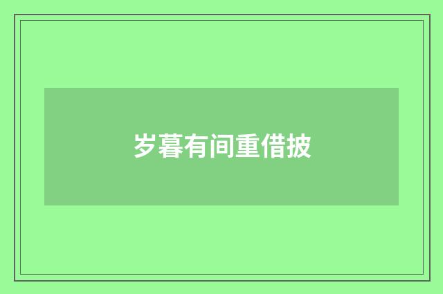 岁暮有间重借披