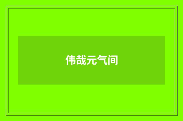 伟哉元气间