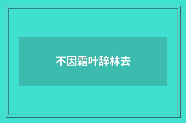 不因霜叶辞林去