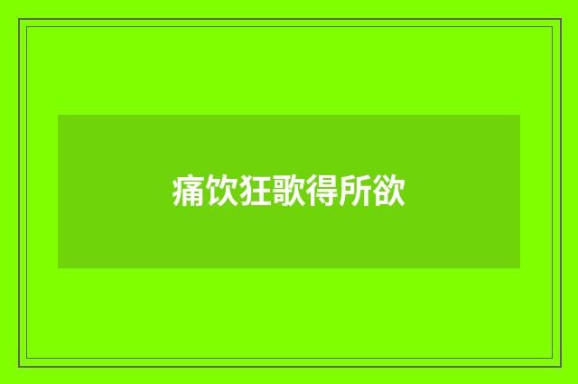 痛饮狂歌得所欲