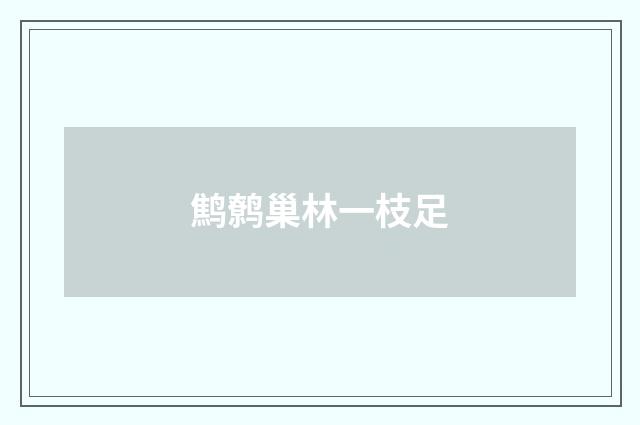 鹪鹩巢林一枝足