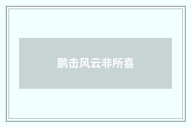鹏击风云非所喜