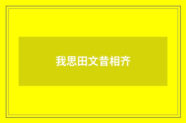 我思田文昔相齐