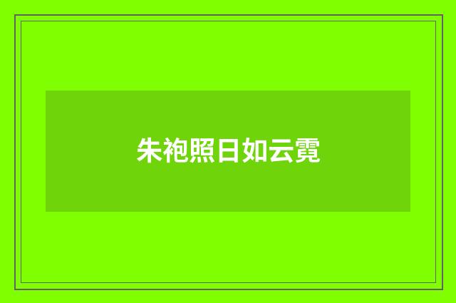 朱袍照日如云霓