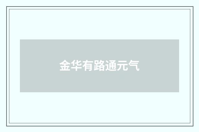 金华有路通元气