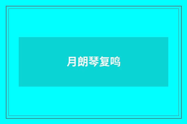 月朗琴复鸣