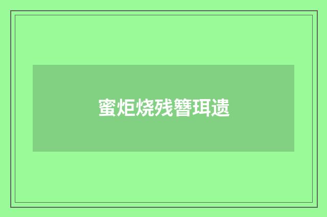 蜜炬烧残簪珥遗
