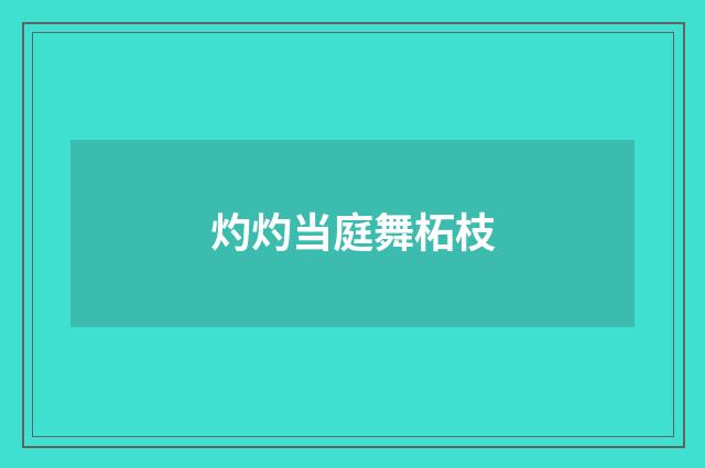 灼灼当庭舞柘枝