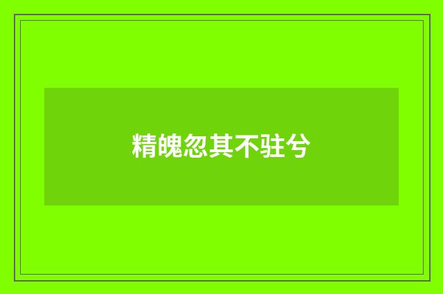 精魄忽其不驻兮