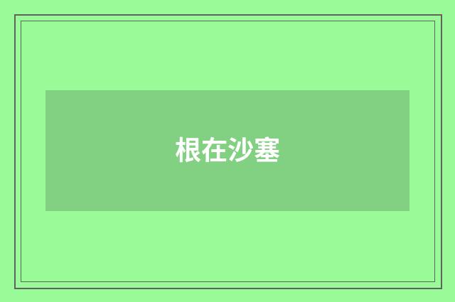 根在沙塞