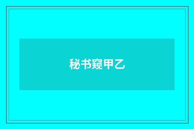 秘书窥甲乙