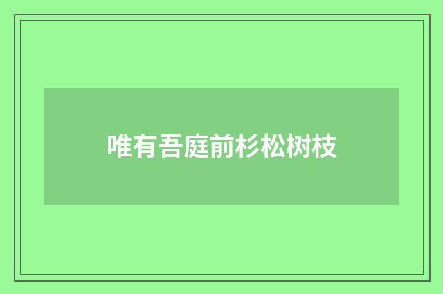 唯有吾庭前杉松树枝