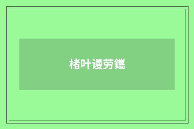 楮叶谩劳鑴