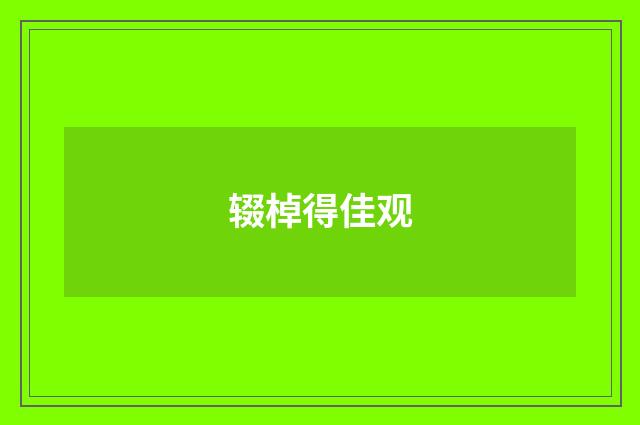 辍棹得佳观