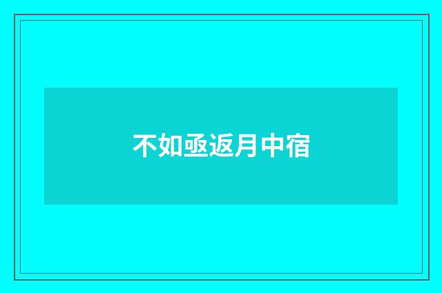 不如亟返月中宿
