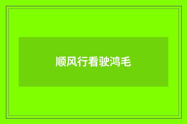 顺风行看驶鸿毛