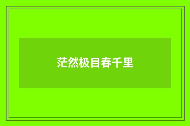 茫然极目春千里