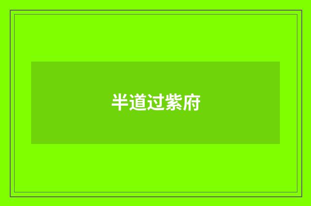 半道过紫府