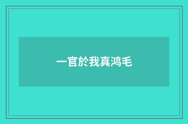 一官於我真鸿毛