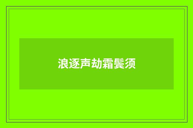 浪逐声劫霜鬓须