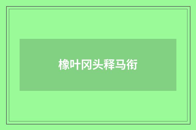 橡叶冈头释马衔