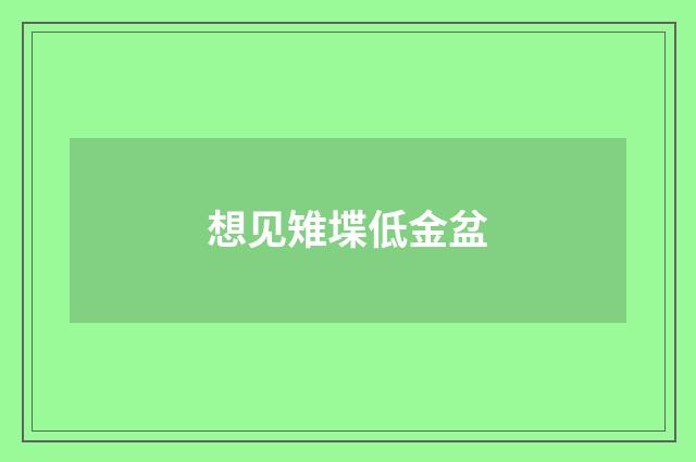 想见雉堞低金盆