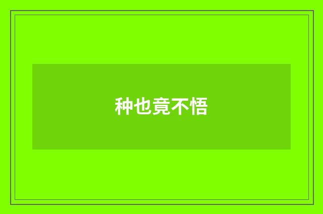 种也竟不悟