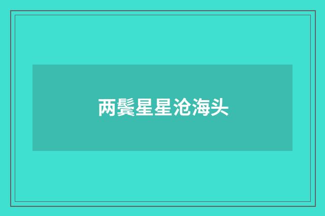 两鬓星星沧海头