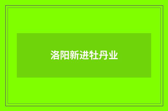 洛阳新进牡丹业