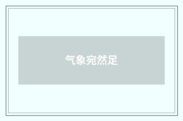 气象宛然足