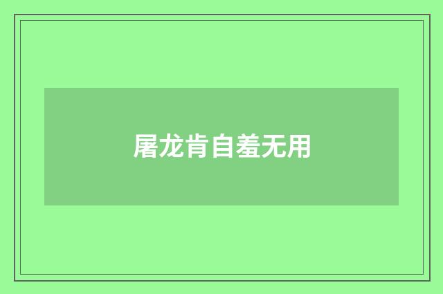 屠龙肯自羞无用