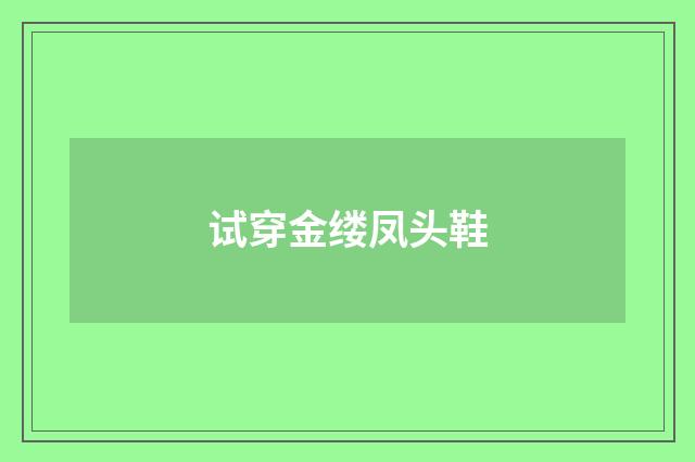 试穿金缕凤头鞋