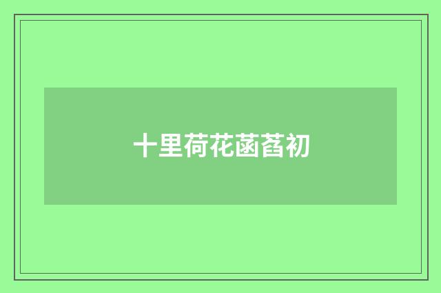 十里荷花菡萏初
