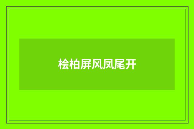 桧柏屏风凤尾开