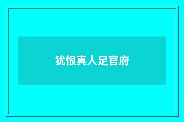 犹恨真人足官府