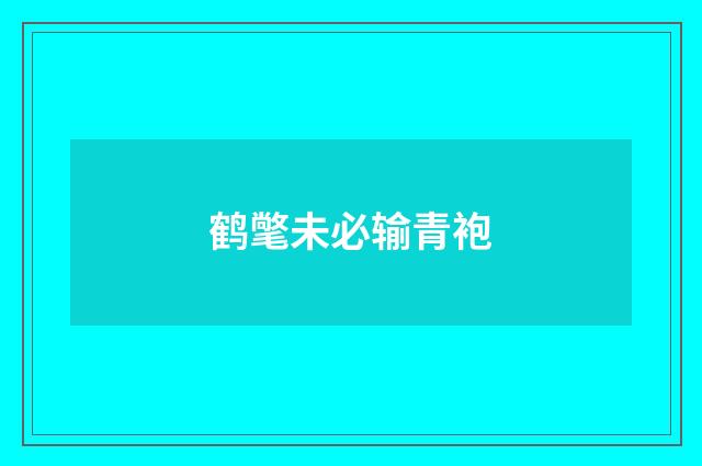 鹤氅未必输青袍