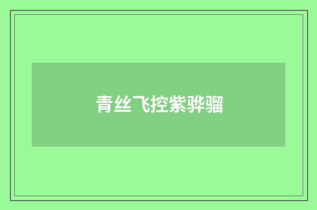 青丝飞控紫骅骝