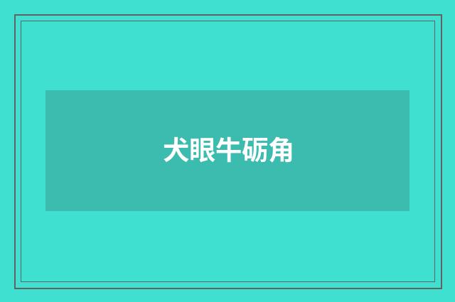 犬眼牛砺角