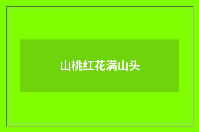 山桃红花满山头
