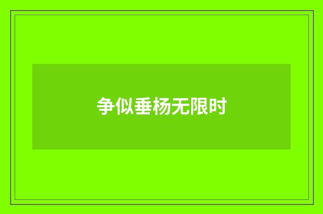 争似垂杨无限时