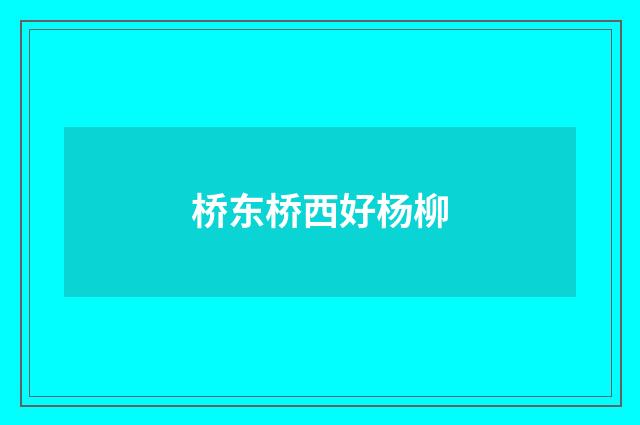 桥东桥西好杨柳