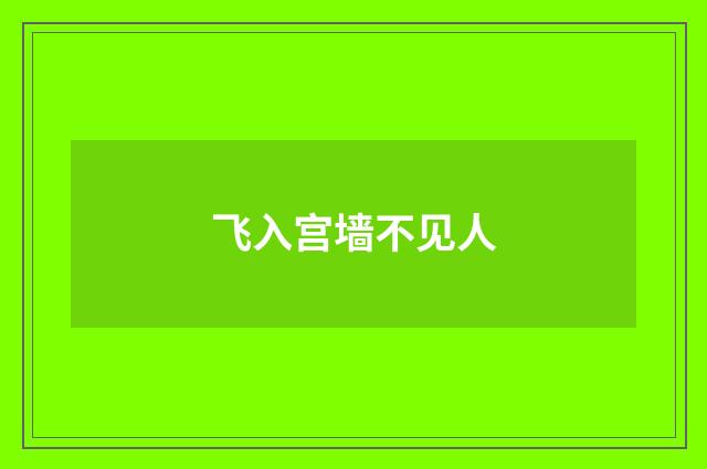 飞入宫墙不见人
