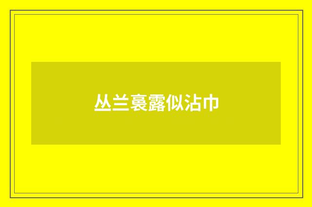 丛兰裛露似沾巾