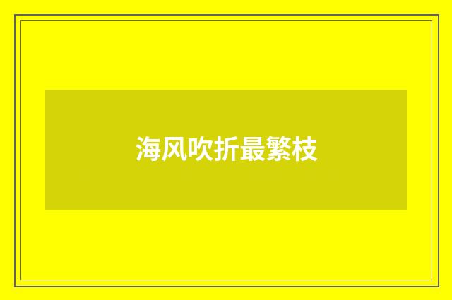 海风吹折最繁枝