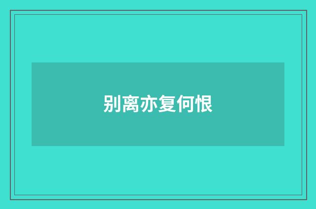 别离亦复何恨