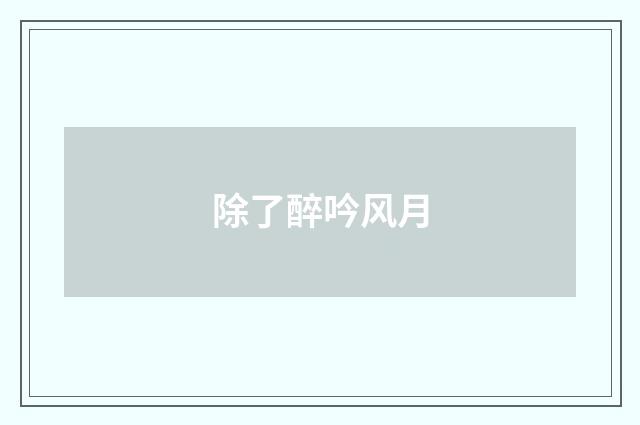 除了醉吟风月