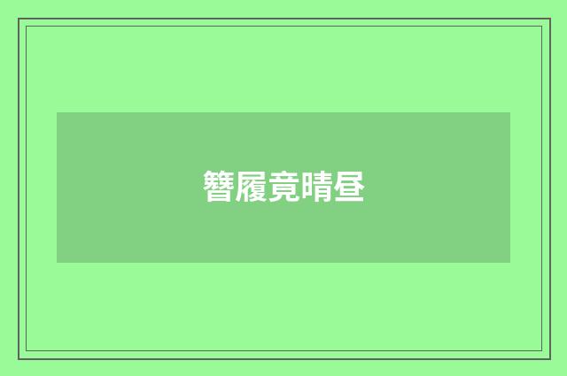 簪履竟晴昼