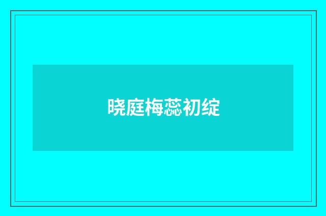 晓庭梅蕊初绽