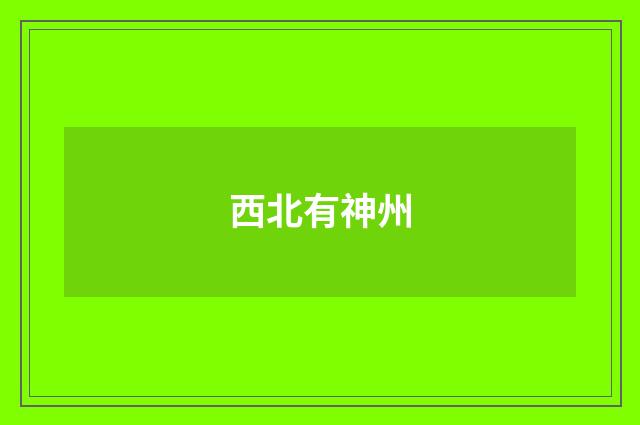 西北有神州