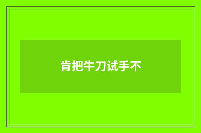 肯把牛刀试手不